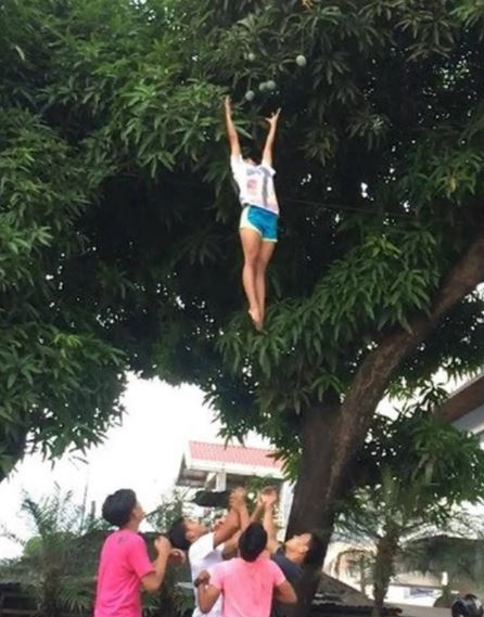 15 Potret kocak orang manjat pohon ini tingkahnya bikin geleng kepala, sulit ketebak aksinya