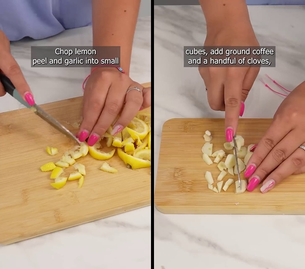 Cara mengusir tikus dari rumah sekarang tak pakai racun atau perangkap, cuma tambah 1 ampas dapur