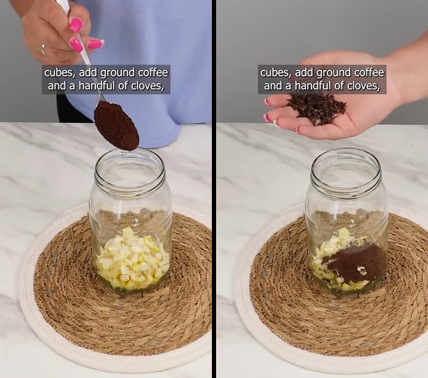 Cara mengusir tikus dari rumah sekarang tak pakai racun atau perangkap, cuma tambah 1 ampas dapur