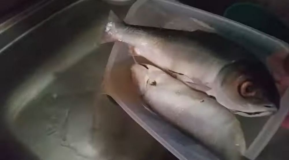 Sekarang jadi paham kenapa bunga es bisa dicegah tanpa plastik, cukup lakukan 4 langkah ini