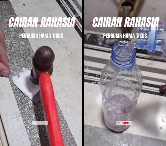 Sekarang tak perlu pakai perangkap, ini cara mengusir tikus dari dapur dengan tambahan 1 bumbu dapur