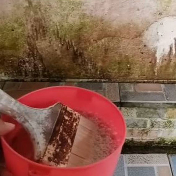Kerak dan jamur auto luntur, wanita ini bagikan cara hilangkan noda kamar mandi pakai 2 bahan dapur