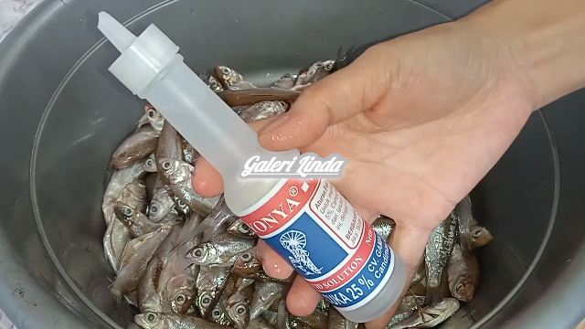 Harusnya tahu dari dulu, ini cara simpel hilangkan formalin pengawet pada ikan segar