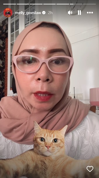 Bahagia bisa oplas pakai duit sendiri, 9 potret terbaru Melly Goeslaw usai facelift ini jadi manglingi