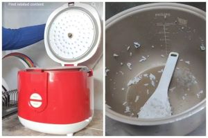 Pusing mikirin kenapa nasi cepat basi? Ternyata baru sadar harus bersihkan bagian rice cooker ini lho