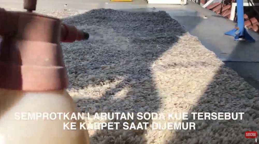 Tanpa dicuci pakai sabun, begini cara basmi bau apek membandel di karpet cuma modal 1 bahan dapur
