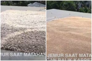 Tanpa dicuci pakai sabun, begini cara basmi bau apek membandel di karpet cuma modal 1 bahan dapur