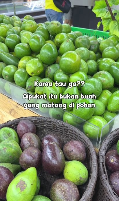 Warna kulit alpukat bisa jadi kode rahasia buat tahu matang atau nggaknya, intip trik jitu wanita ini