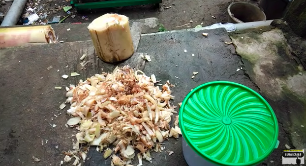 Tanpa garam dan micin, ini cara bikin pupuk jeruk purut dari batang pisang agar kini berbuah lebat