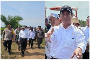 Mentan Amran Sulaiman janji harga ayam di pasar normal pekan depan