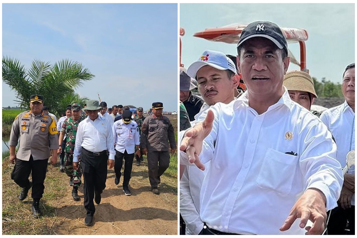 Mentan Amran Sulaiman janji harga ayam di pasar normal pekan depan