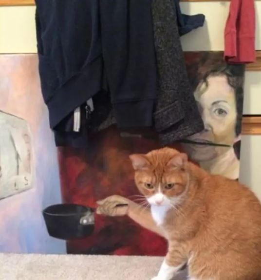 Awas jangan berkedip, 11 potret nyeleneh ini kalau dilihat dua kali hasilnya bisa beda