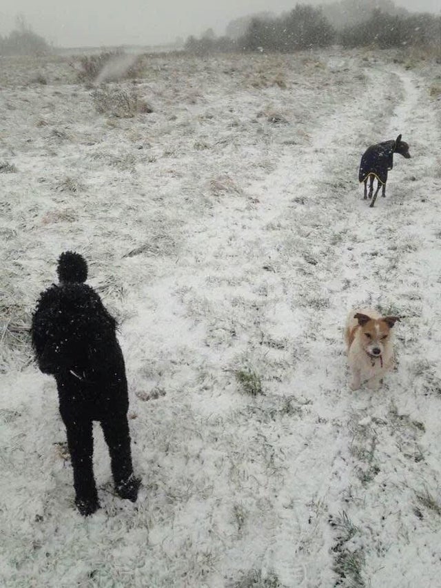 Awas jangan berkedip, 11 potret nyeleneh ini kalau dilihat dua kali hasilnya bisa beda