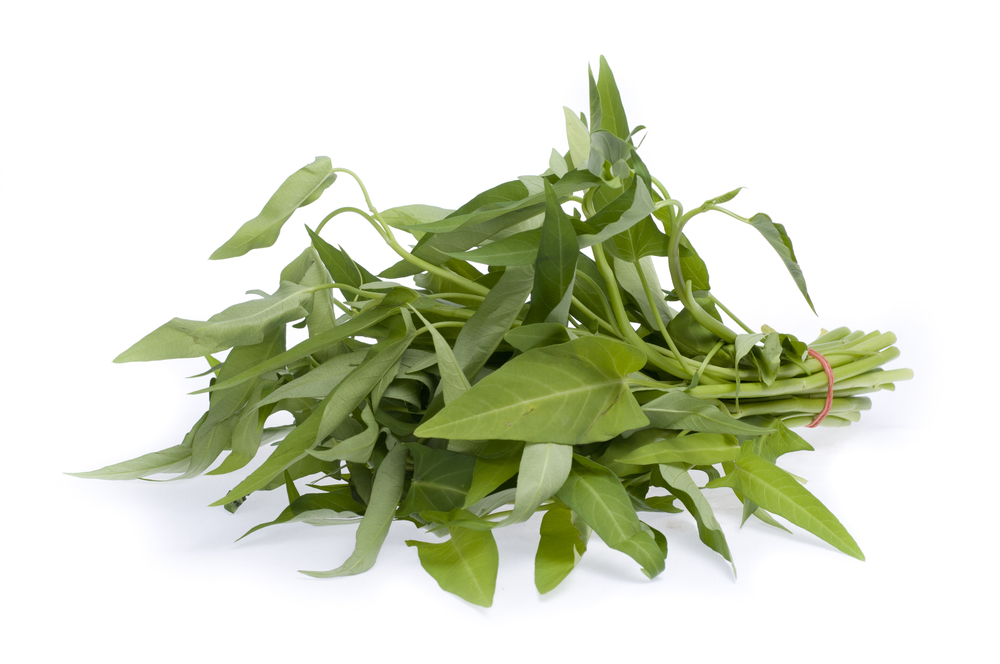 7 Resep olahan kangkung yang lezat dan bikin nagih, lengkap dengan cara memasaknya agar tetap hijau