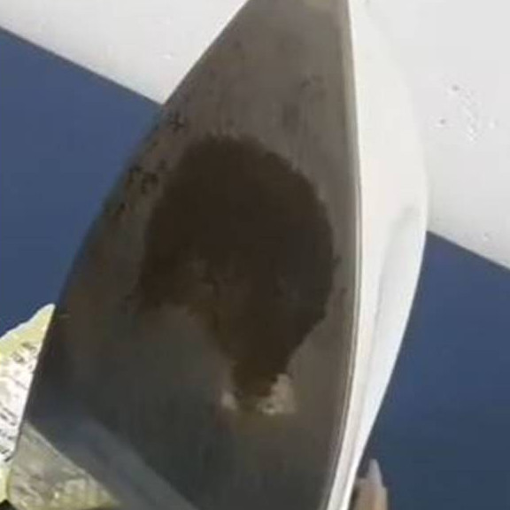 Bukan pakai garam atau sabun, ini trik ampuh hilangkan kerak gosong pada setrika dengan 1 jenis obat