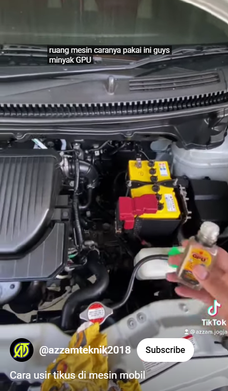 Mengusir tikus di kap mesin mobil sekarang tak perlu pusing, cukup pakai trik dari 1 bahan sederhana