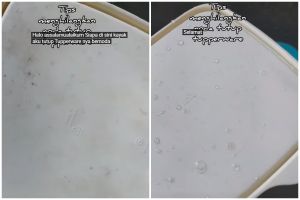 Trik membersihkan tutup tupperware kotor berjamur sekarang tak direndam sabun, cuma butuh 10 menit