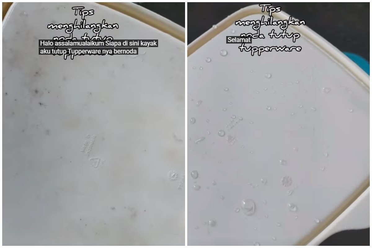 Trik membersihkan tutup tupperware kotor berjamur sekarang tak direndam sabun, cuma butuh 10 menit