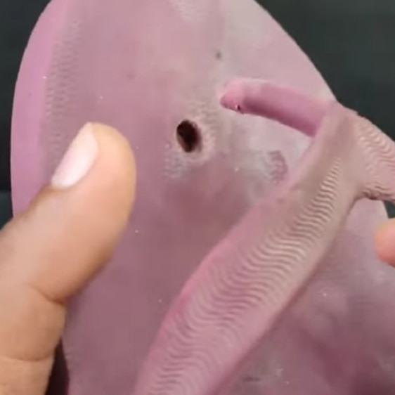 Jangan langsung dibuang, trik memperbaiki sandal jepit putus sekarang pakai 1 barang bekas