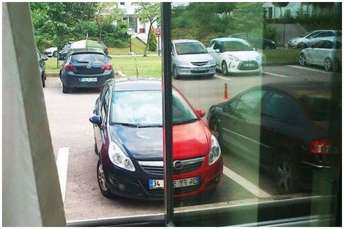 15 Potret lucu pantulan dari cermin ini penampakannya bikin mata kegocek, hati-hati salah lihat
