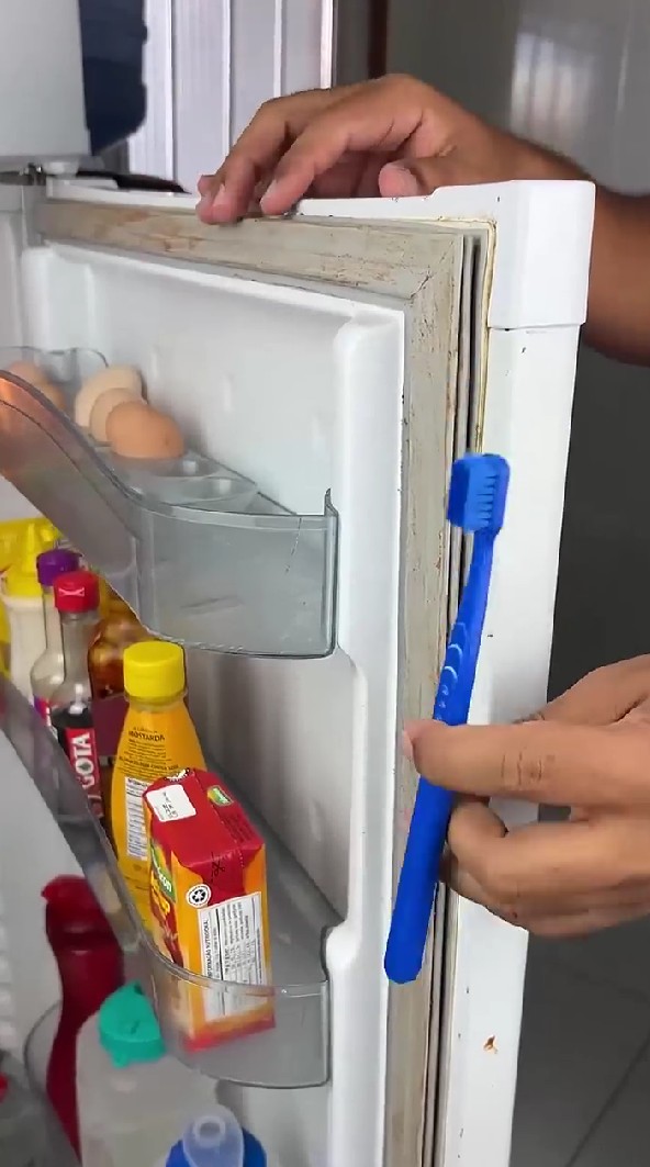 Karet kulkas kotor bisa kembali bersih sekarang tanpa repot disikat, triknya pakai 2 bahan dapur