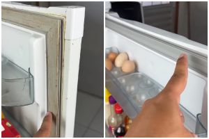 Karet kulkas kotor bisa kembali bersih sekarang tanpa repot disikat, triknya pakai 2 bahan dapur