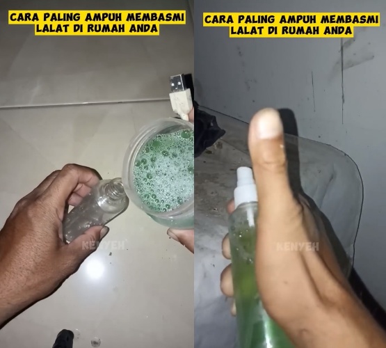 Basmi lalat di rumah sekarang nggak perlu pakai semprotan serangga, ini triknya modal 1 bahan dapur