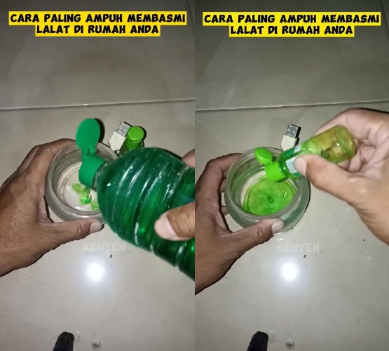 Basmi lalat di rumah sekarang nggak perlu pakai semprotan serangga, ini triknya modal 1 bahan dapur
