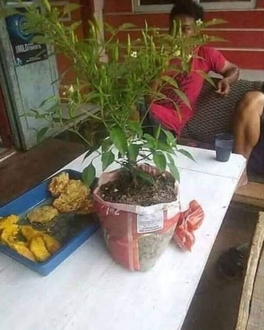 11 Potret lucu penampakan nggak biasa di atas meja makan ini bikin mikir keras