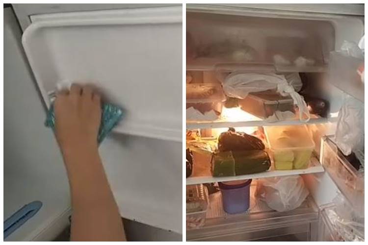 Kini lebih mudah, ini cara sulap kulkas berjamur jadi kinclong dan wangi cuma pakai 1 bahan sederhana
