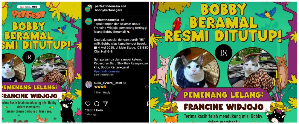Baju Bobby Kertanegara kucing Prabowo Subianto dilelang seharga Rp12 juta, ini sosok pemenangnya