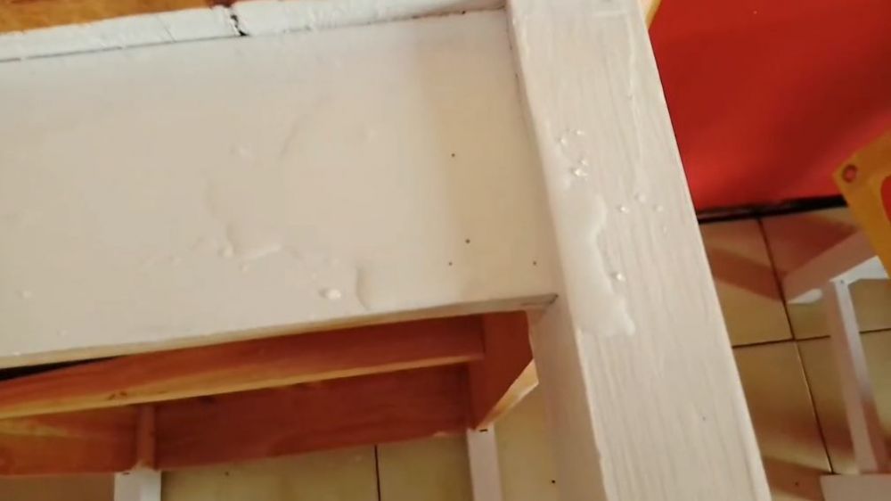 Kini tak perlu pakai bahan kimia, ini cara alami usir rayap di pintu dan meja kayu guna 2 bahan dapur