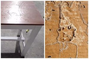 Kini tak perlu pakai bahan kimia, ini cara alami usir rayap di pintu dan meja kayu guna 2 bahan dapur