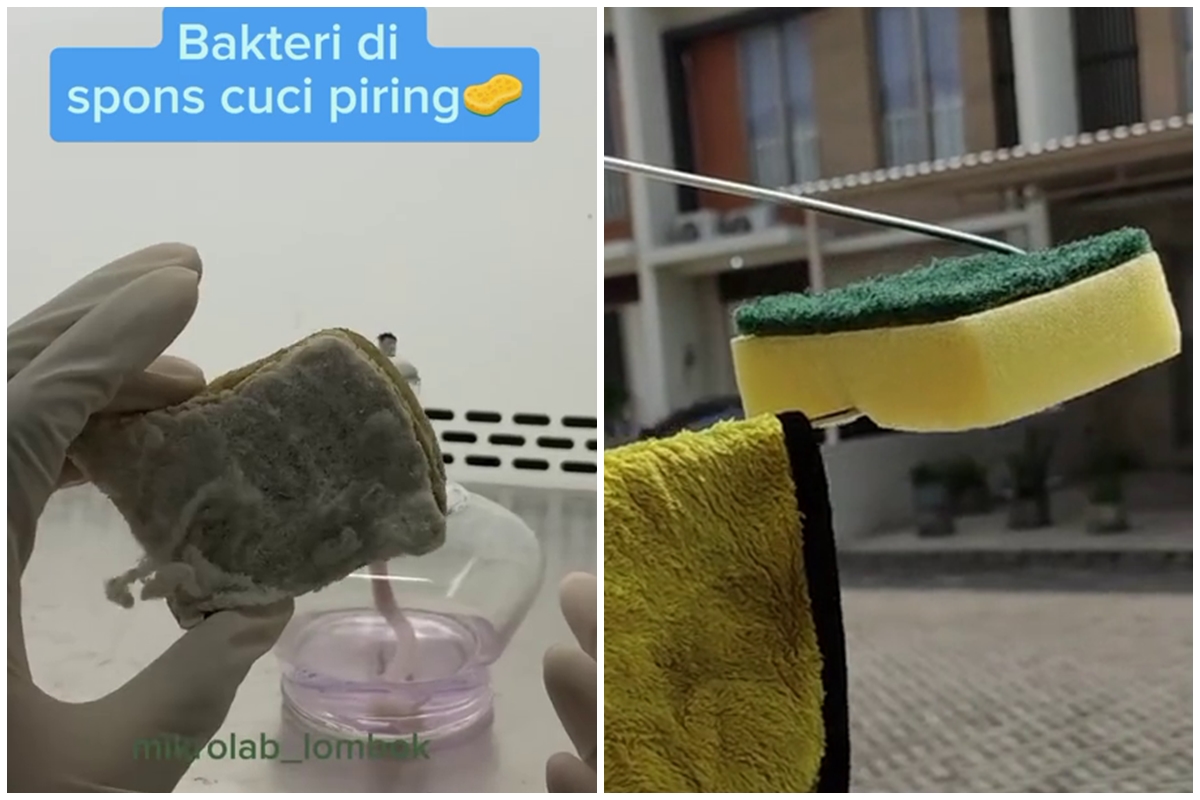 Tak direndam lama, cara bersihkan spons cuci piring agar tak bau sekarang cukup ditambah 1 jenis buah