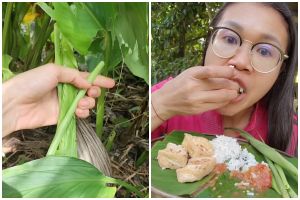 Wanita ini nikmat banget makan lalapan daun kunyit tergulung, apa enak dan khasiatnya?