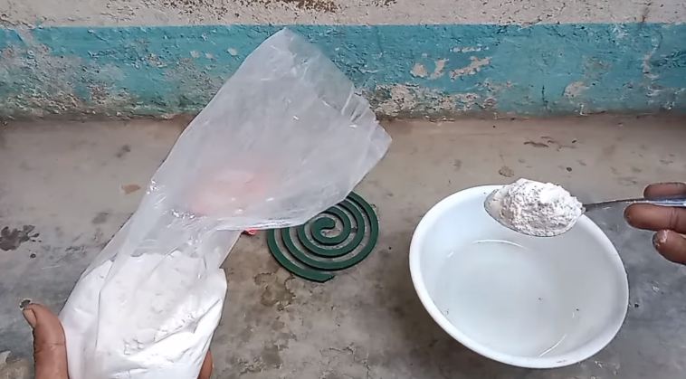 Trik mudah bikin tikus kabur dari rumah cuma pakai tambahan 2 bahan dapur, tanpa baking soda