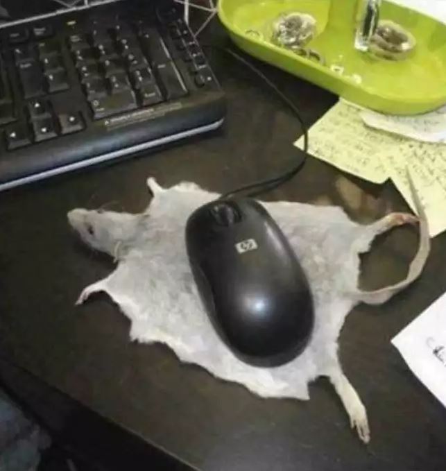 Niatnya mau produktif, 11 potret lucu isi meja komputer ini malah bikin gagal fokus