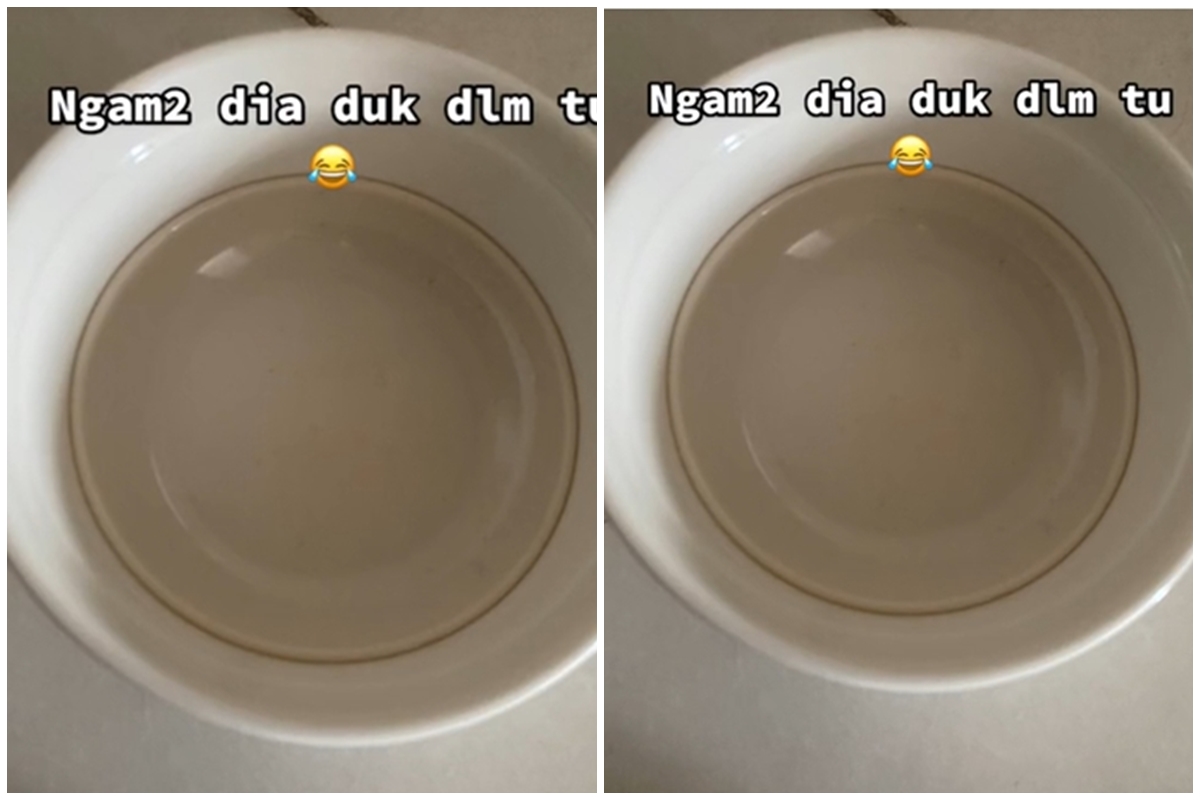 Jangan buru-buru dicongkel, trik mengeluarkan piring kaca tersangkut di mangkuk ini simpel