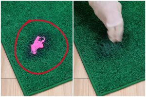 Trik membersihkan bekas permen karet di karpet, tanpa ke laundry sekarang auto nyaman dipakai lagi