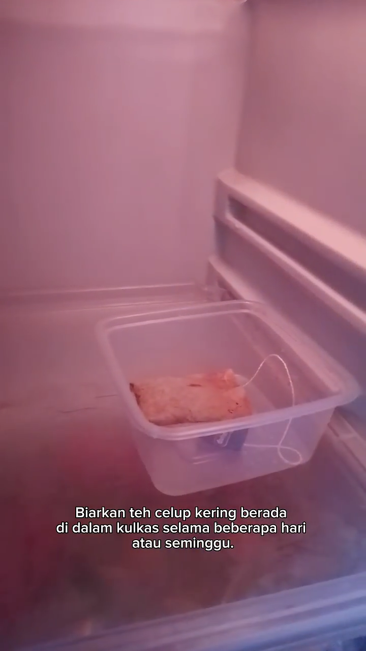 Trik menghilangkan bau tak sedap di kulkas pakai 1 ampas dapur, sekarang terbukti jitu auto wangi lagi