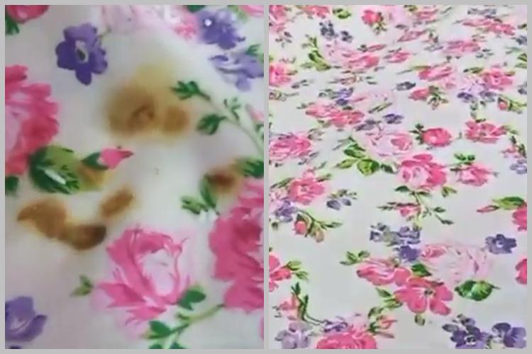 Tanpa deterjen, ini trik hilangkan noda kunyit di taplak meja makan cuma pakai 1 bahan dapur