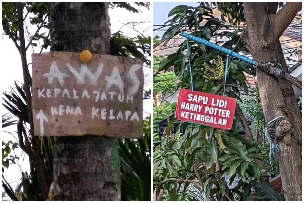 11 Tulisan kocak di pohon ini absurdnya nggak ketulungan, bikin yang baca auto senyum-senyum