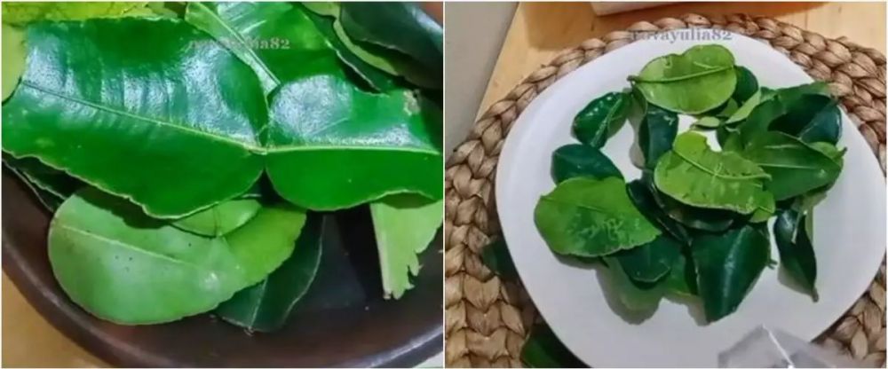 Cara simpan daun aromatik (daun jeruk, salam, pandan) agar tidak busuk hingga 3 bulan