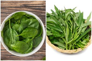 Bayam, kangkung, daun pepaya, begini cara benar simpan daun-daunan sesuai jenisnya biar nggak layu