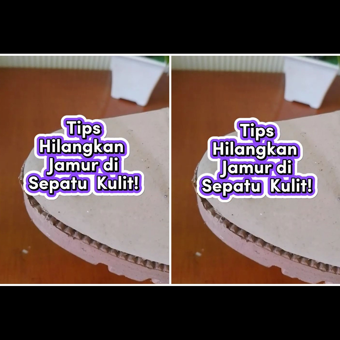 Trik hilangkan jamur di sepatu kulit, sekarang tak perlu rogoh uang Rp50 ribu