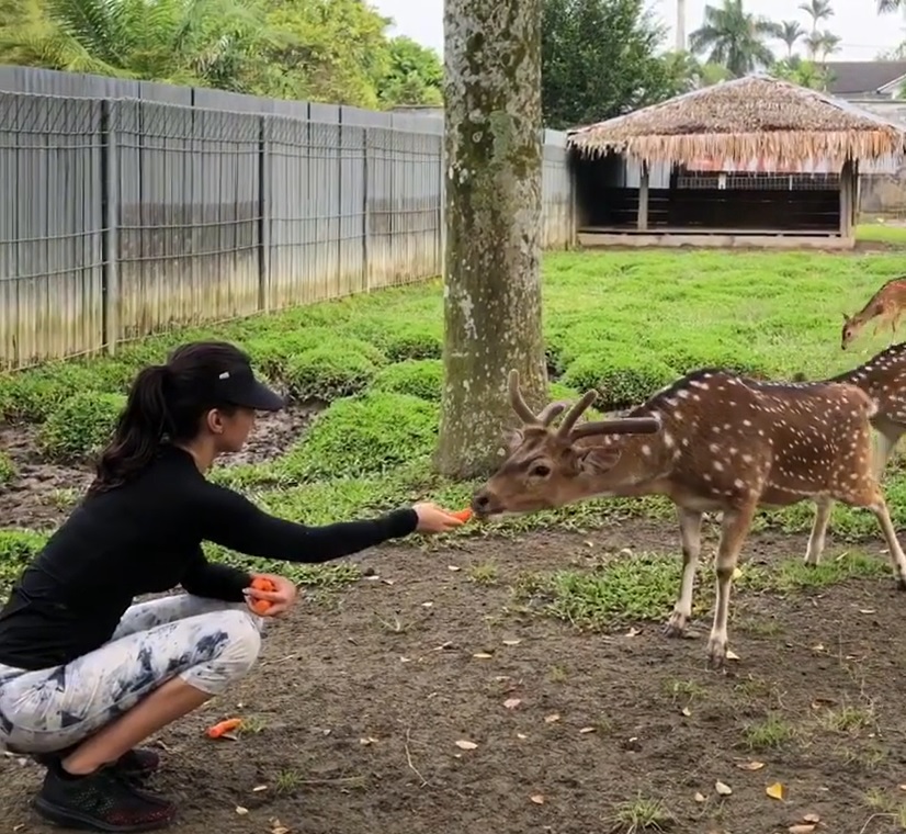 Punya halaman luas dan kebun binatang mini, intip 7 cara Raline Shah menata rumah mewah di Medan