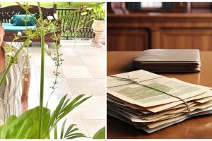 Mengenal prosedur penggusuran paksa oleh Pengadilan Negeri seperti yang dialami Atalarik Syah