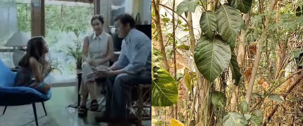 7 Potret dulu dan kini rumah di film Petualangan Sherina, sekarang berubah total bikin nostalgia buyar