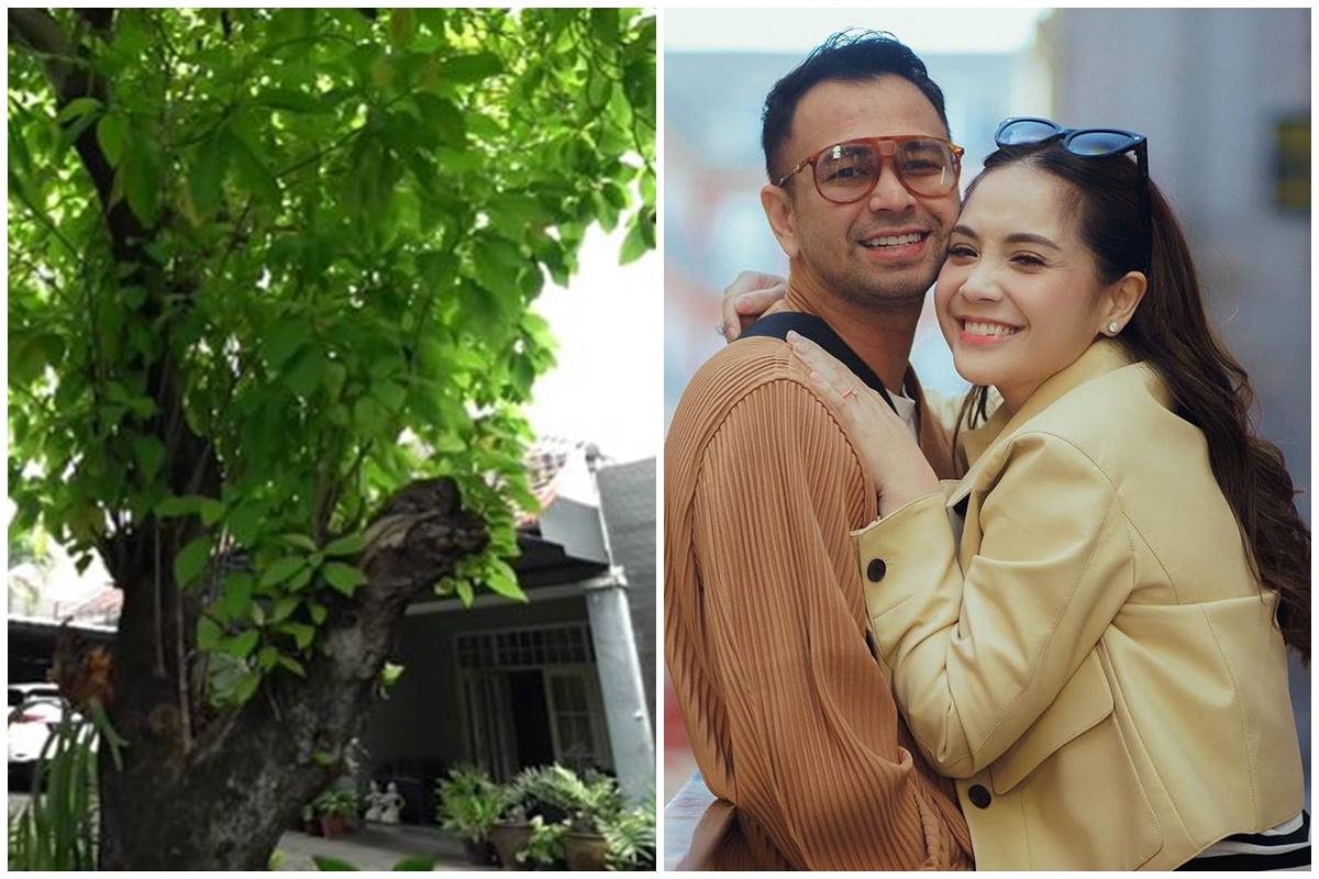 Dari yang tinggal di apartemen sampai ada di rumah petak biasa, intip potret rumah pertama 9 seleb