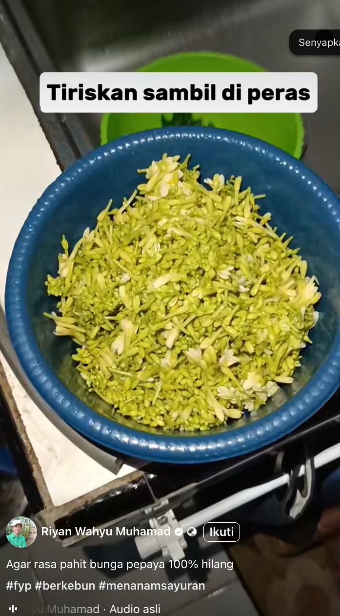 5 Cara jitu menghilangkan pahit bunga pepaya, kini masak tumis nggak khawatir lagi